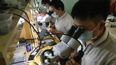 Top cửa hàng sửa chữa điện thoại tại quận Tân Bình, TP.HCM