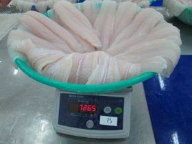 Top cửa hàng bán cân hải sản điện tử giá rẻ uy tín tại Bình Thạnh TP.HCM