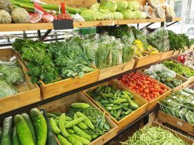 Top cửa hàng bán thực phẩm tươi sống sạch, uy tín tại Quận 2 TP.HCM