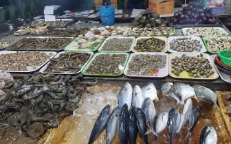 Top cửa hàng bán hải sản tươi sống sạch, uy tín tại Quận 1 TP.HCM