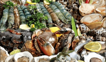 Top cửa hàng bán hải sản tươi sống sạch, uy tín tại Quận 6 TP.HCM