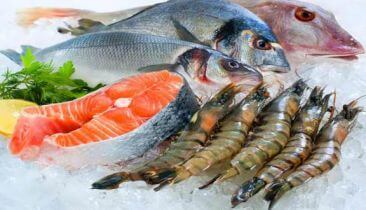Top cửa hàng bán hải sản tươi sống sạch, uy tín tại Quận 4 TP.HCM