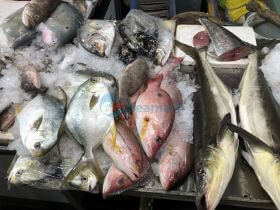Top cửa hàng bán cá biển tươi sống tại Q.Đống Đa, Hà Nội