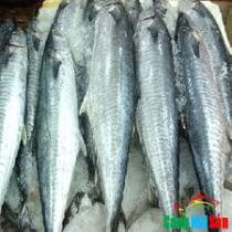 Top cửa hàng bán cá biển tươi sống tại Q.Hai Bà Trưng, Hà Nội