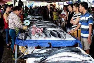 Top cửa hàng bán cá biển tươi sống tại Quận Tân Phú, TP.HCM
