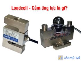 Top cửa hàng bán Loadcell cân điện tử giá rẻ uy tín tại Bình Phước