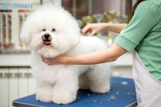 Top Spa dịch vụ chăm sóc thú cưng uy tín chuyên nghiệp tại Hoàng Mai, Hà Nội