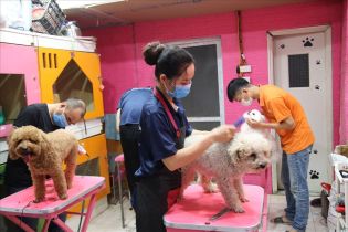 Top Spa dịch vụ chăm sóc thú cưng uy tín chuyên nghiệp tại Sơn Tây, Hà Nội