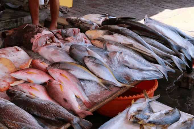 Top cửa hàng bán cá biển tươi sống tại Q.Ba Đình, Hà Nội