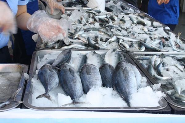 Top cửa hàng bán cá biển tươi sống tại Q.Hoàn Kiếm, Hà Nội
