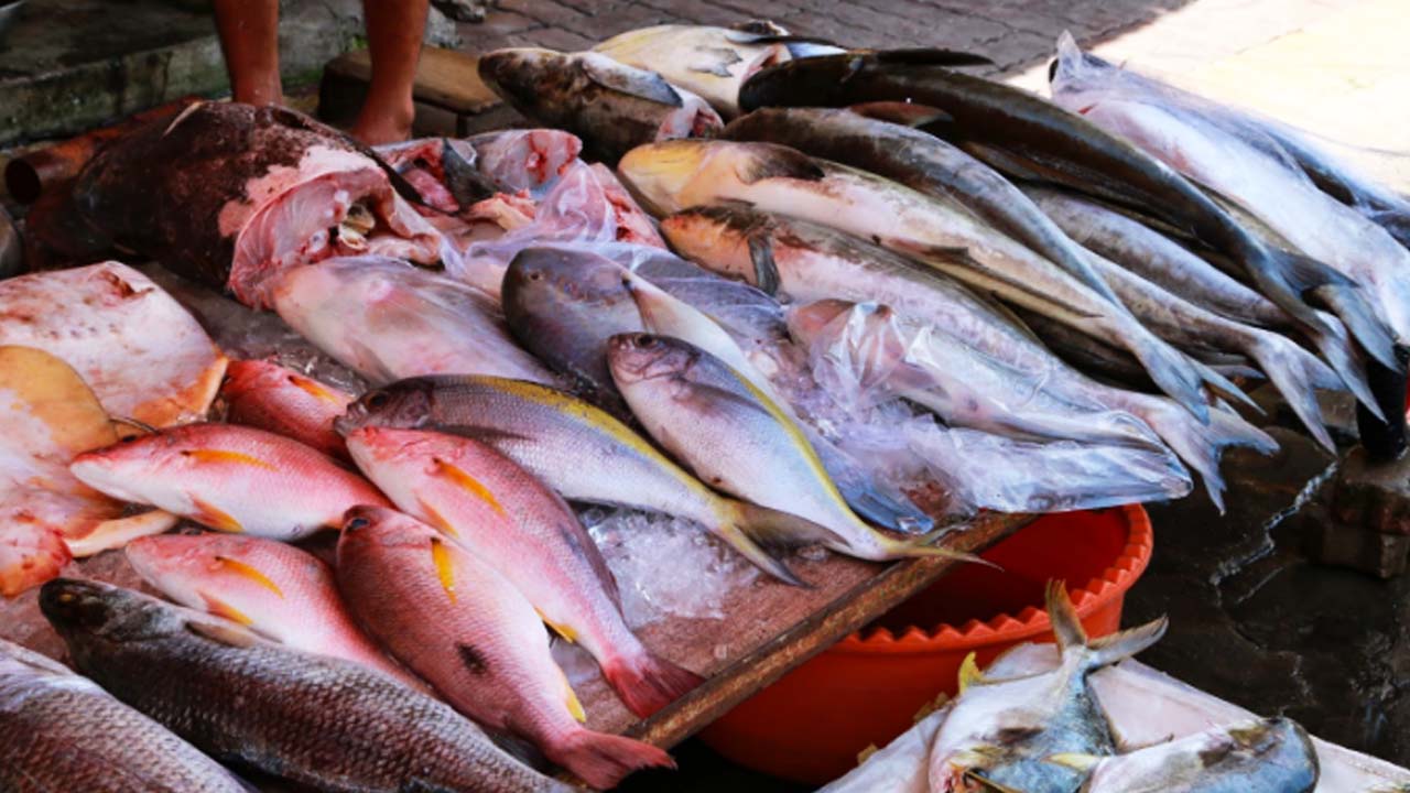 Top cửa hàng bán cá biển tươi sống tại Quận Bình Tân, TP.HCM