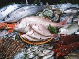 Top cửa hàng bán cá biển tươi sống tại Quận Gò Vấp, TP.HCM