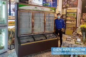 Top cửa hàng bán tủ đông giá rẻ chất lượng tại H.Thanh Oai, Hà Nội