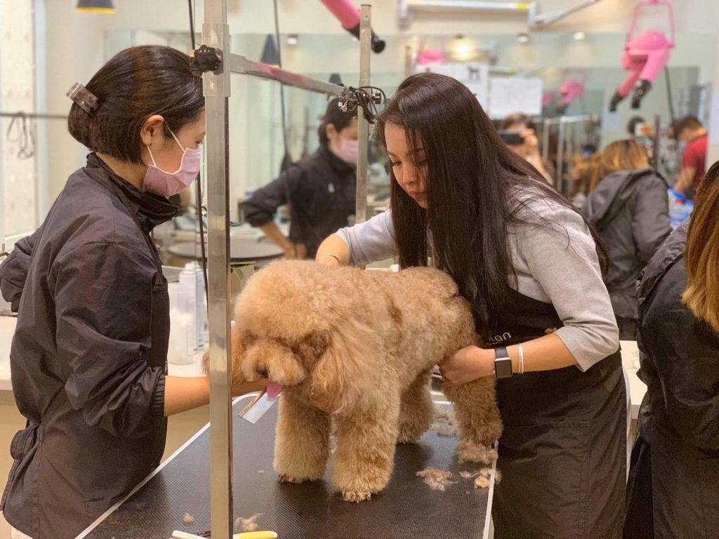 Spa chăm sóc thú cưng Fourpaws - Quận 7, TP.HCM