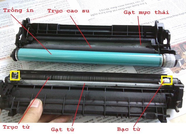 Danh sách cửa hàng thay mực máy in uy tín, chuyên nghiệp, nhanh chóng tại Quận 11, TP.HCM
