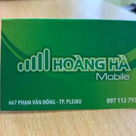 Cửa hàng điện thoại Hoàng Hà Mobile - TP.Pleiku, Gia Lai